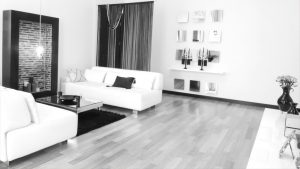 a black and white living room