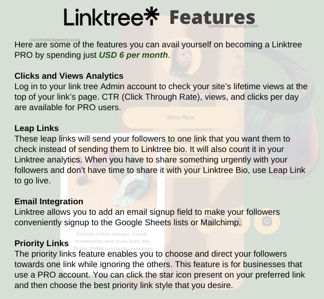 linktree features 1