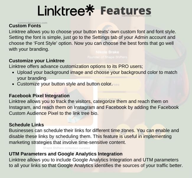 linktree features 2