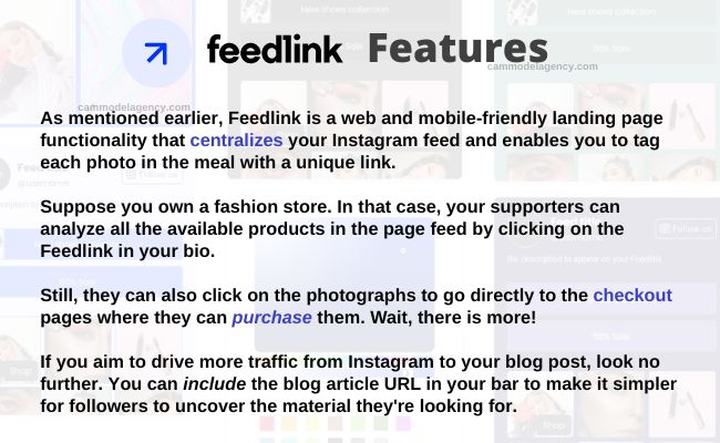 feedlink features