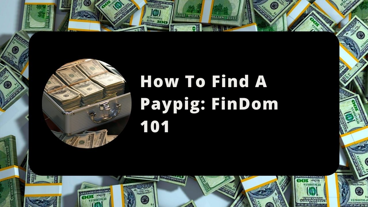 how to find a paypig